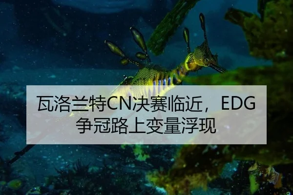 wa-luo-lan-te-jue-sai-lin-jin-zheng-guan-lu-shang-bian-liang-fu-xian-2-927.jpg
